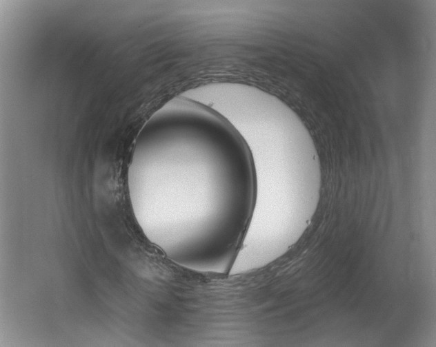 X0000062600818200512210908