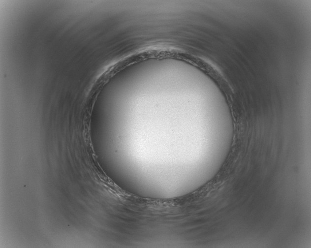 X0000062600823200512210908