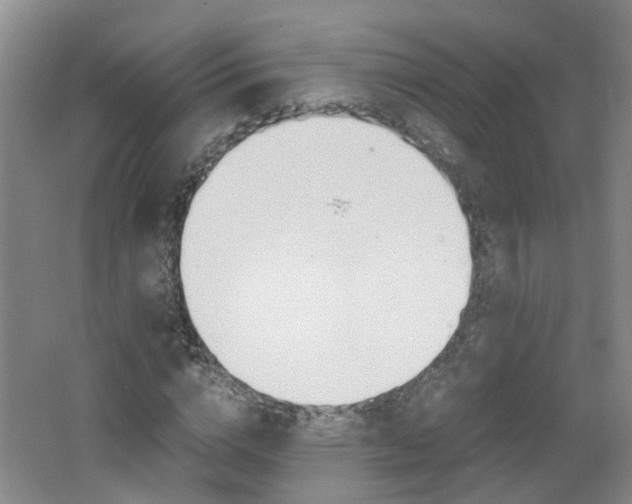 X0000062600824200512210908