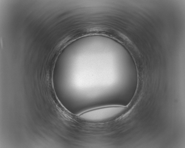 X0000062600825200512210908