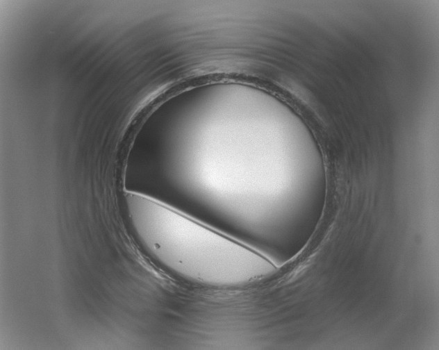 X0000062600826200512210908