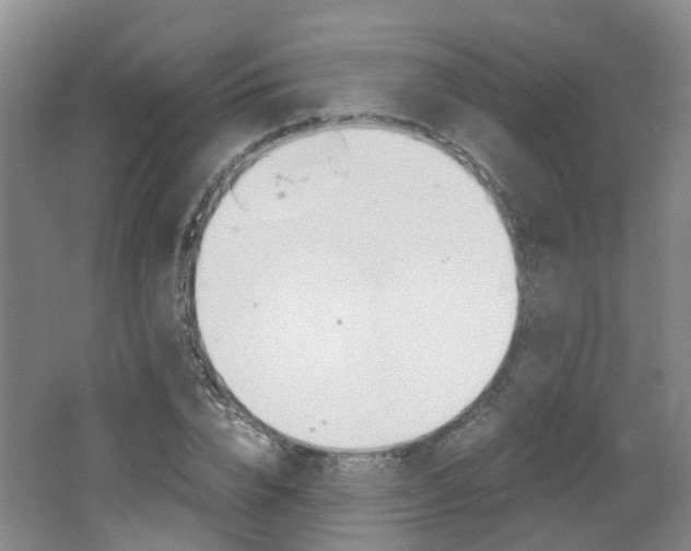 X0000062600832200512210908
