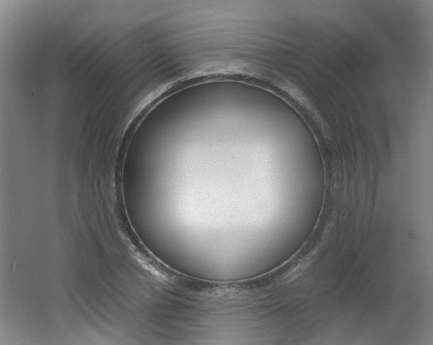 X0000062600834200512210908