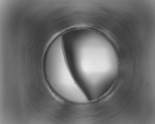 X0000062600837200512210908