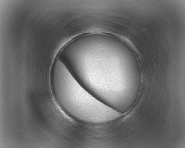 X0000062600839200512210908