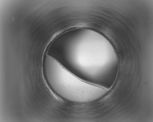 X0000062600845200512210908