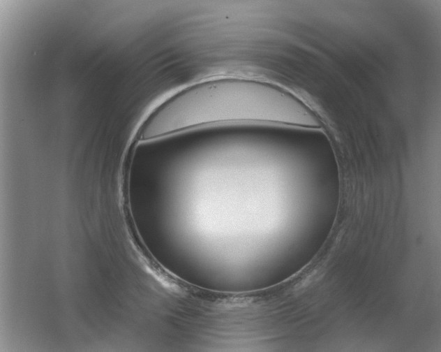 X0000062600846200512210908