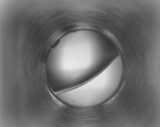 X0000062600849200512210908