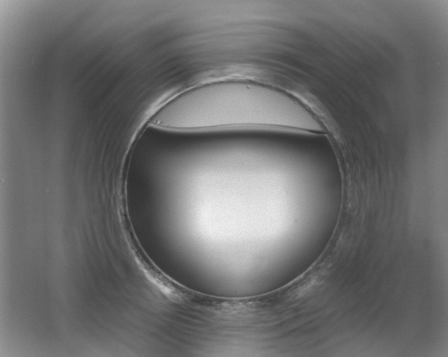 X0000062600850200512210908
