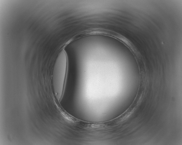 X0000062600857200512210908