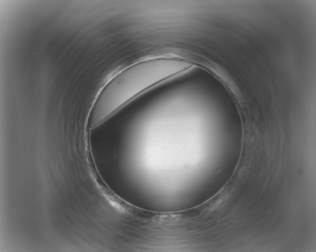 X0000062600858200512210908
