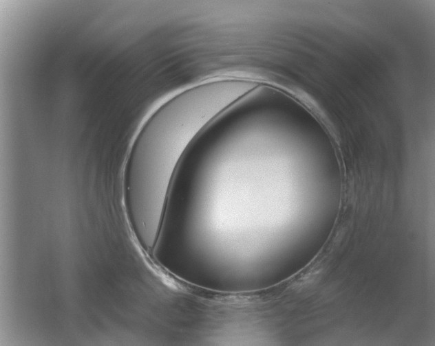 X0000062600862200512210908
