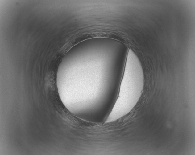 X0000062600867200512210908
