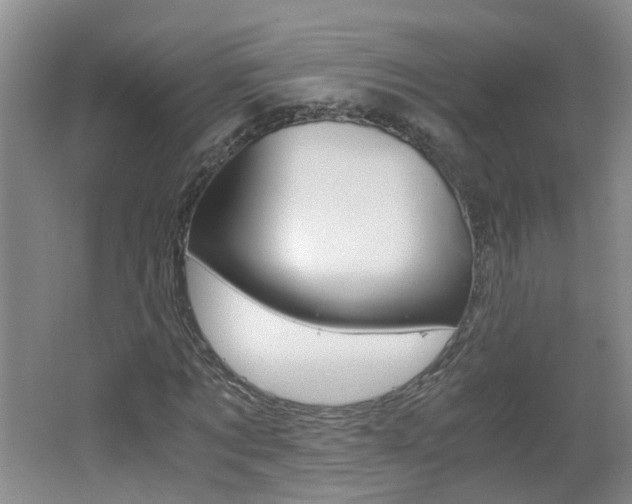 X0000062600869200512210908