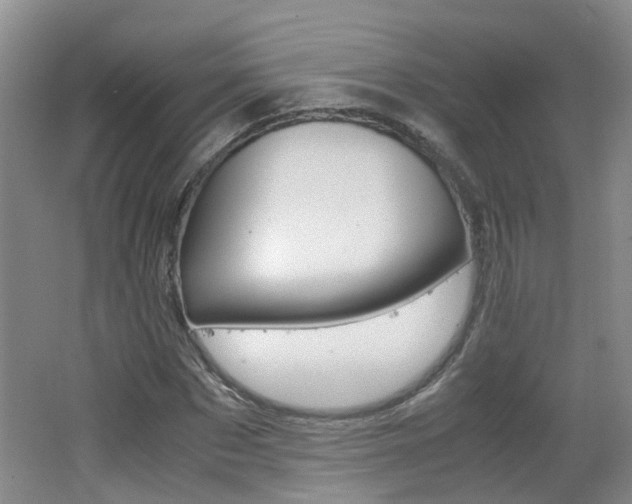X0000062600873200512210908