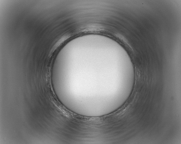 X0000062600874200512210908