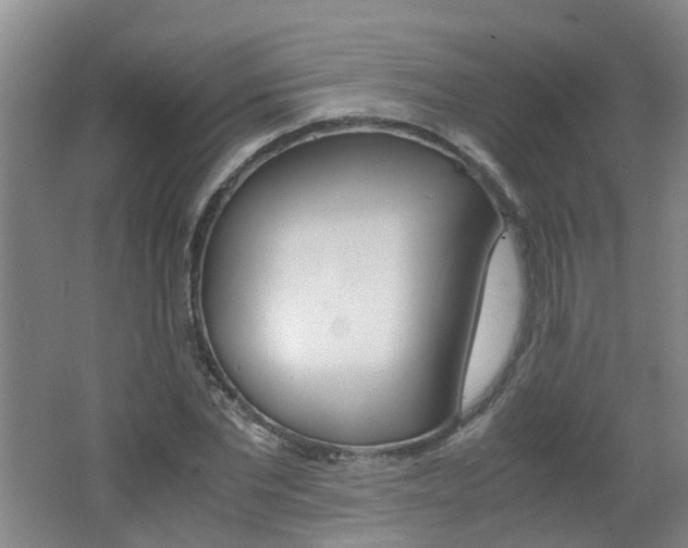 X0000062600877200512210907