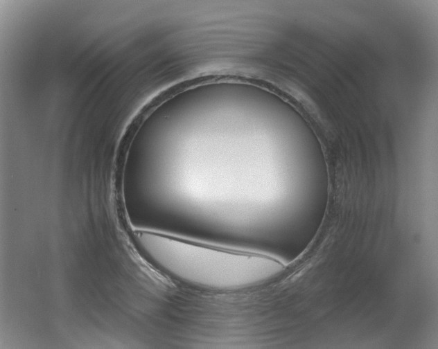 X0000062600880200512210907