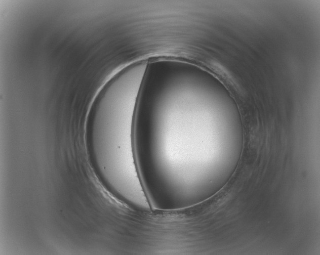X0000062600884200512210907