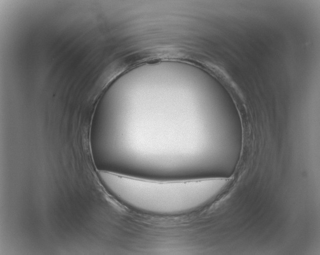 X0000062600889200512210907
