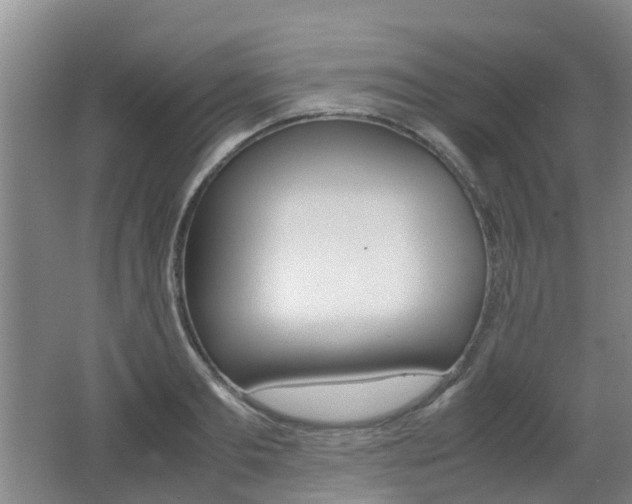 X0000062600893200512210907
