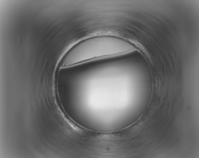 X0000062600894200512210907