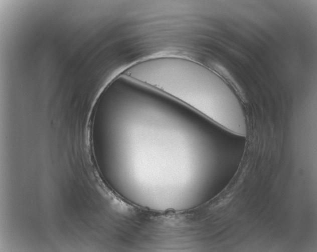X0000062600900200512210907
