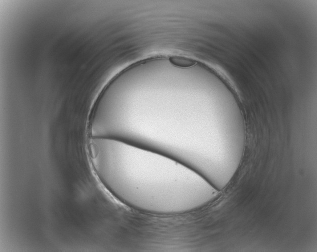 X0000062600903200512210907