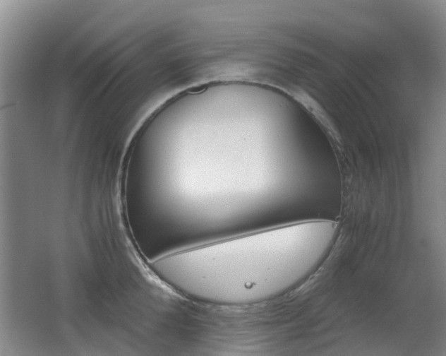 X0000062600904200512210907