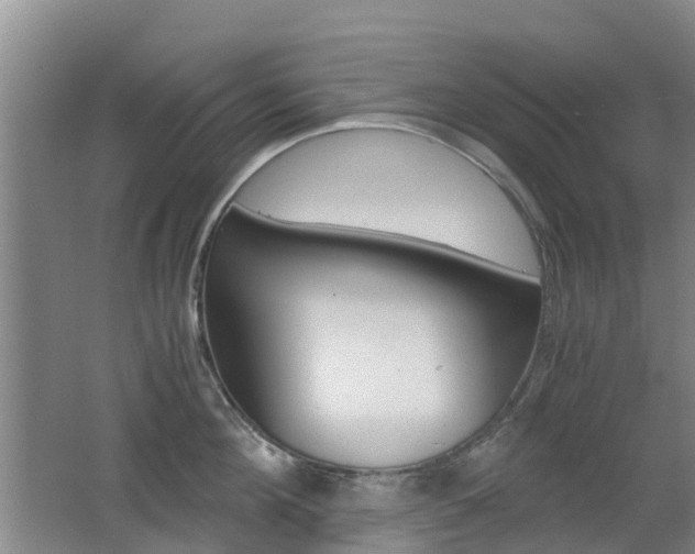 X0000062600908200512210907