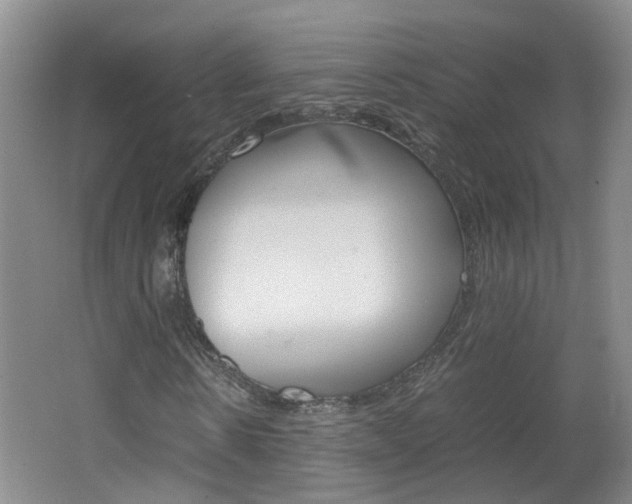 X0000062600914200512210906