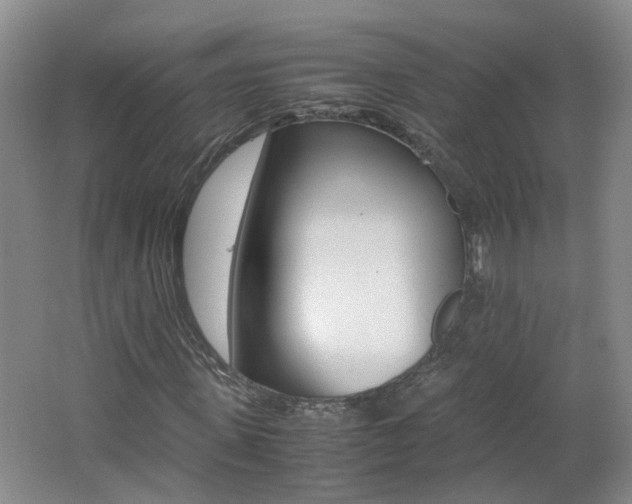 X0000062600915200512210906