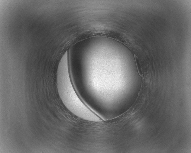 X0000062600916200512210906