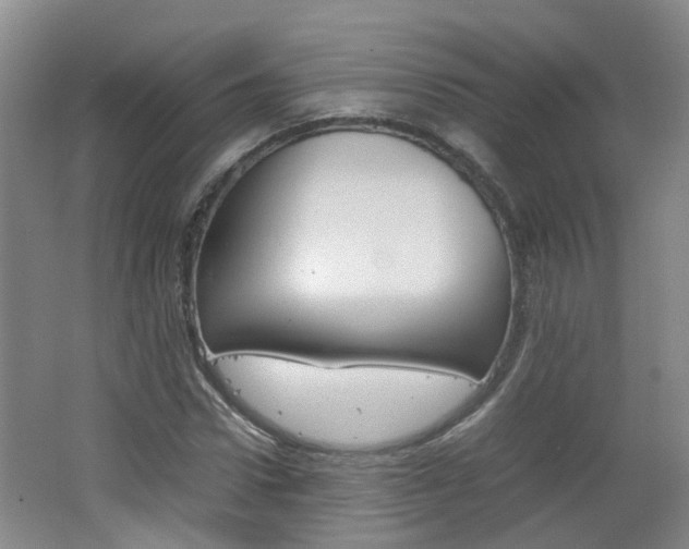 X0000062600922200512210906