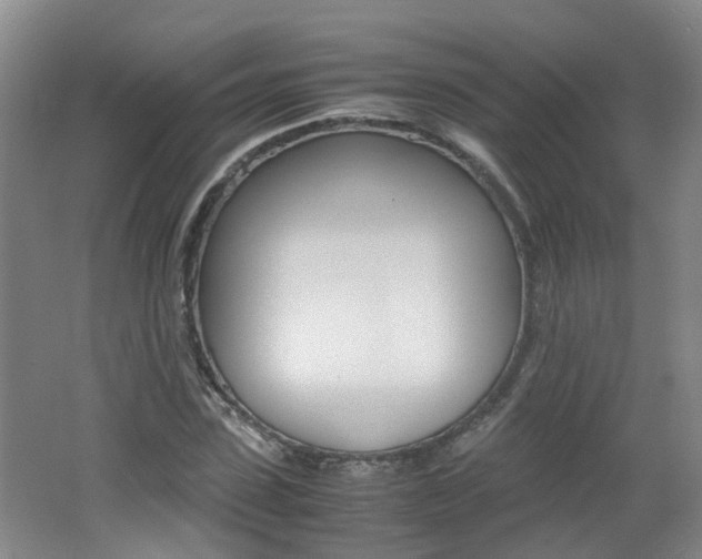X0000062600923200512210906