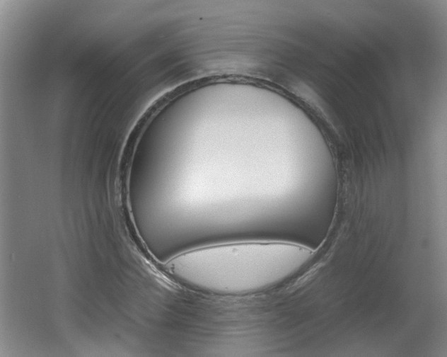 X0000062600924200512210906
