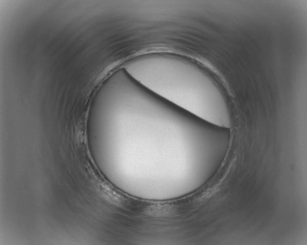 X0000062600929200512210906