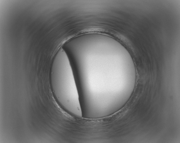 X0000062600937200512210906