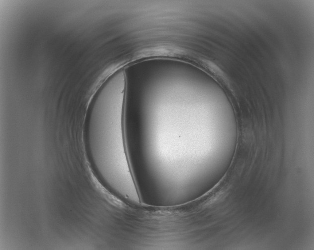 X0000062600938200512210906