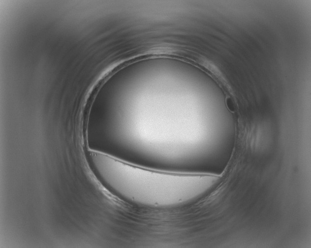 X0000062600939200512210906