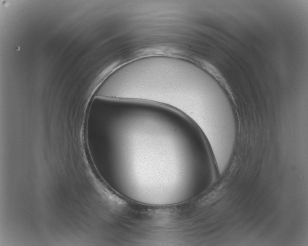 X0000062600946200512210907