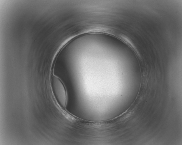 X0000062600948200512210907