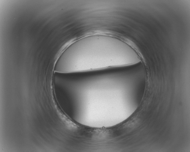 X0000062600954200512210907