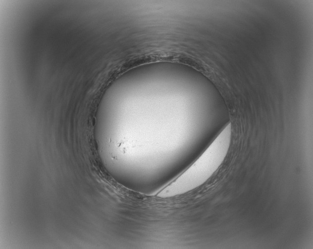 X0000062600961200512210906