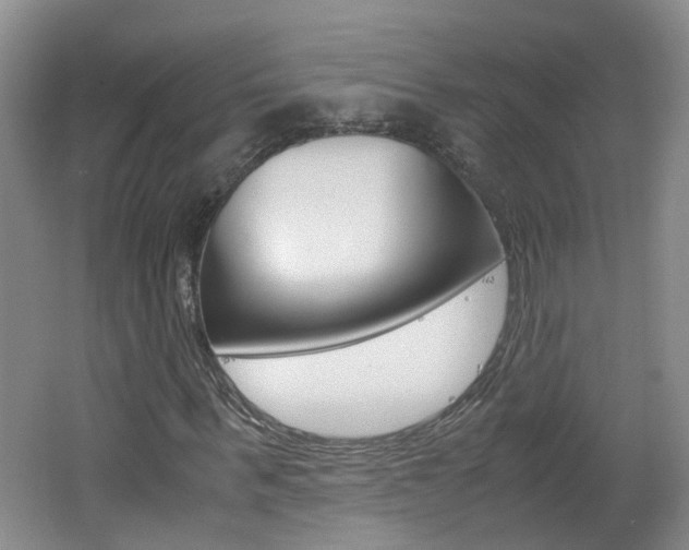 X0000062600963200512210906