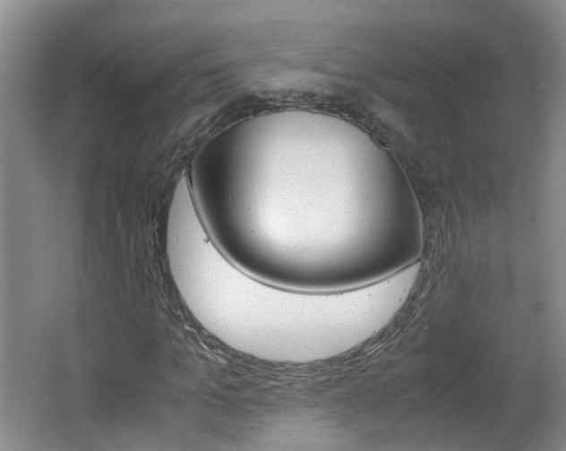 X0000062600965200512210906