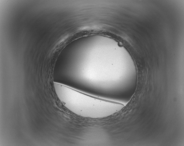 X0000062600967200512210906