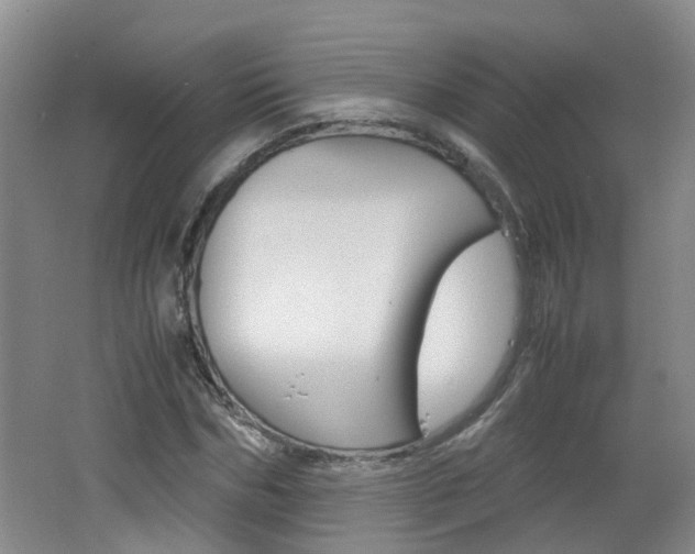 X0000062600970200512210906