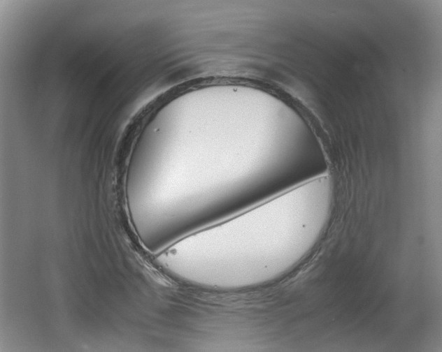 X0000062600971200512210906