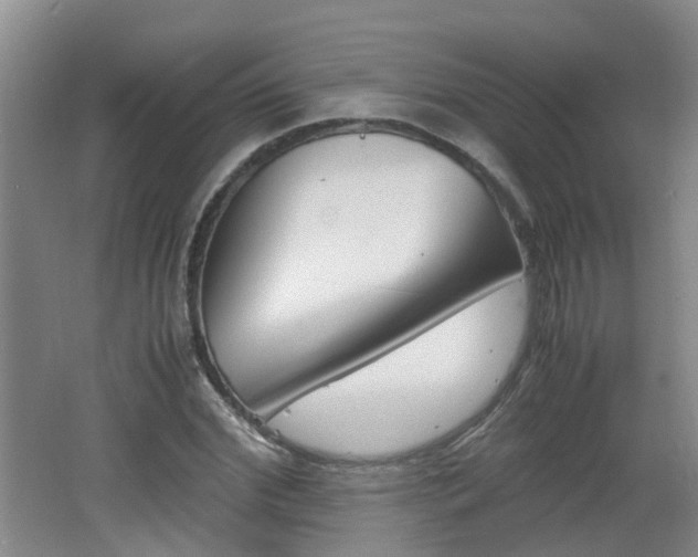 X0000062600972200512210906